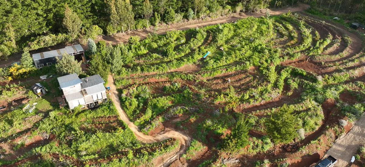 Vista aérea de una ladera con viviendas, caminos y franjas curvas de vegetación