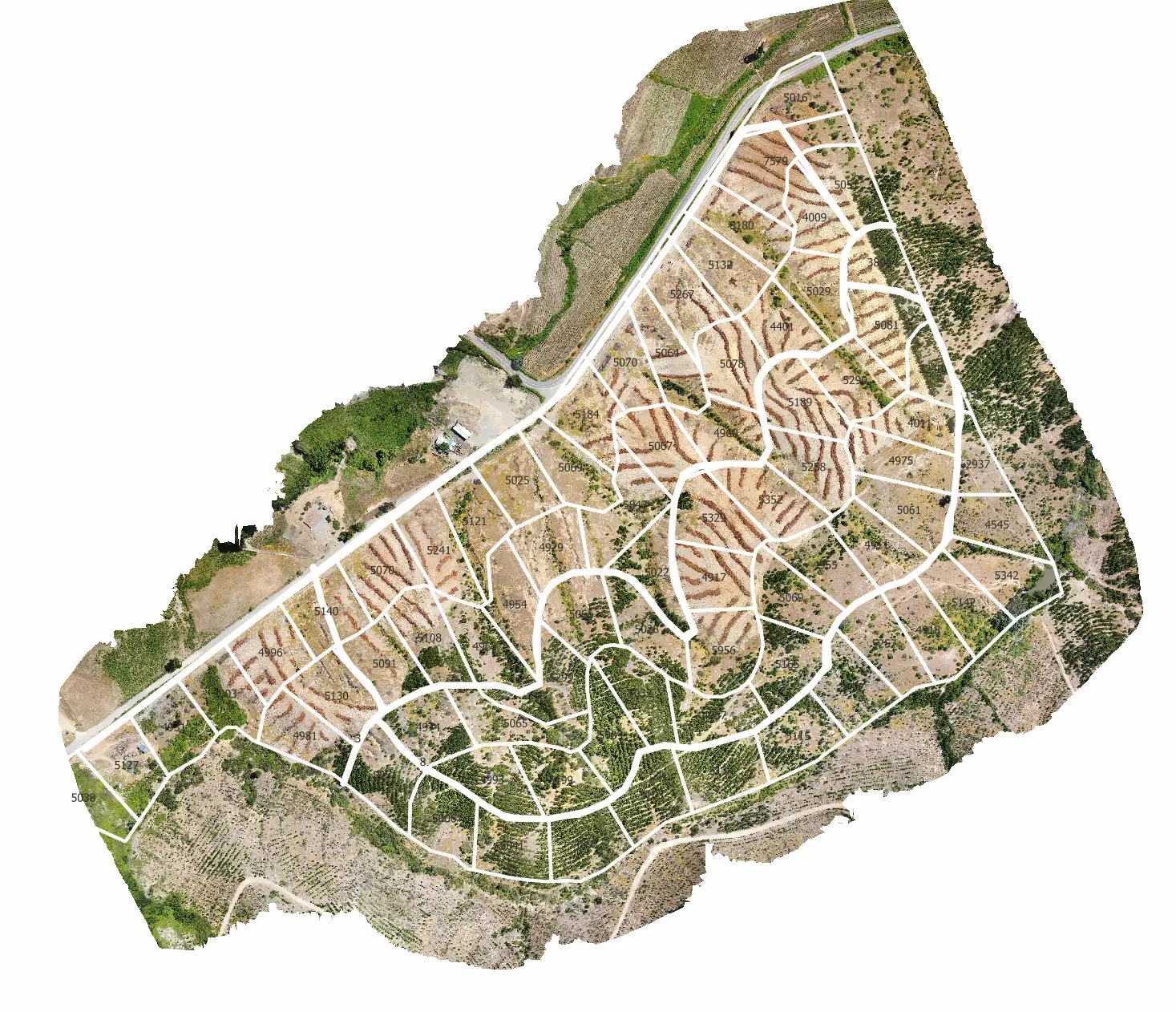 Captura de pantalla 2025-12-02 113903