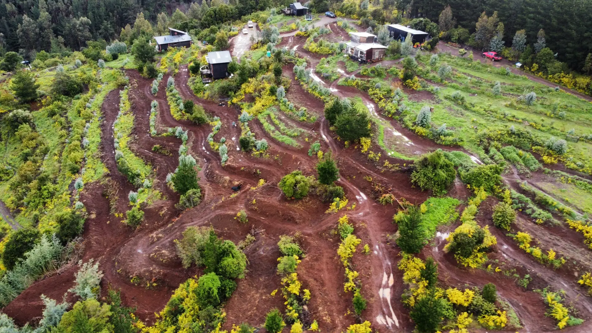 dji_fly_20250921_092336_403_1758457446542_photo_optimized